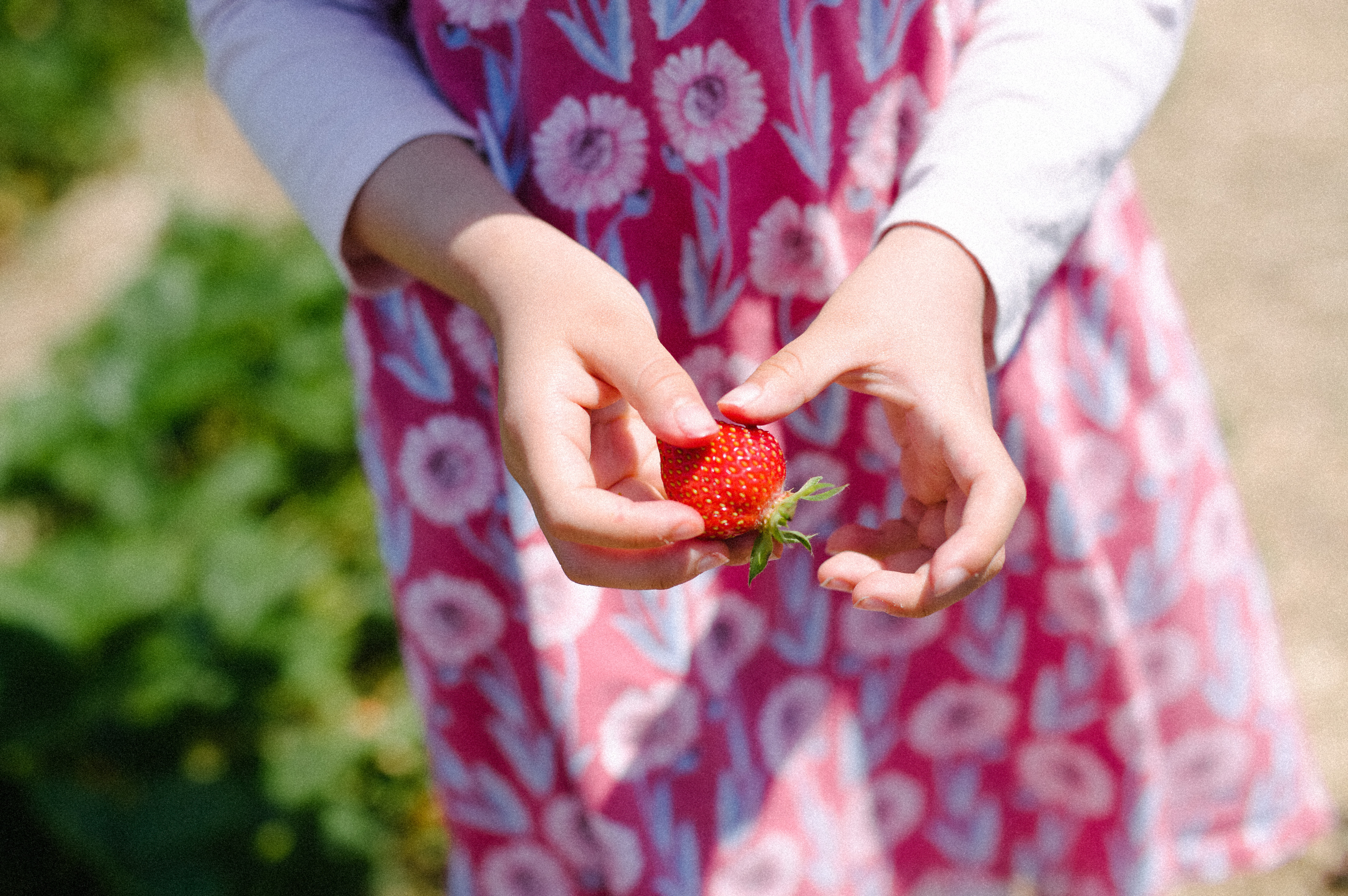 加了颗粒的照片